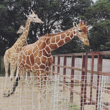 東武動物公園に投稿された画像（2021/9/26）