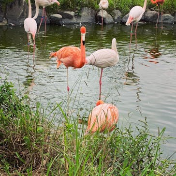 東武動物公園に投稿された画像（2021/9/26）