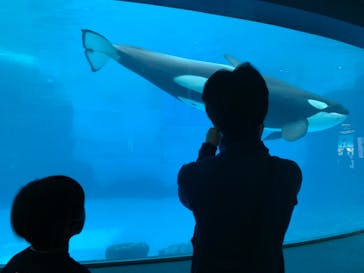 名古屋港水族館に投稿された画像（2021/9/26）