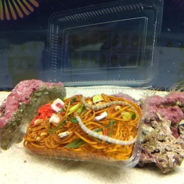 マクセル アクアパーク品川に投稿された画像（2021/9/26）