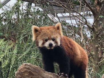 神戸どうぶつ王国に投稿された画像（2021/9/26）