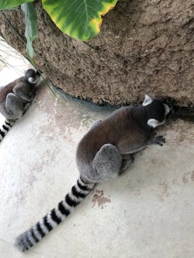 神戸どうぶつ王国に投稿された画像（2021/9/26）