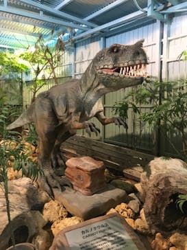 ナゴパイナップルパークに投稿された画像（2021/9/26）