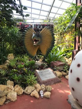 ナゴパイナップルパークに投稿された画像（2021/9/26）