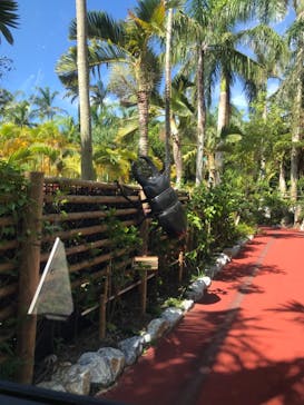 ナゴパイナップルパークに投稿された画像（2021/9/26）