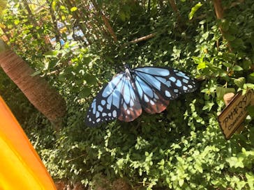 ナゴパイナップルパークに投稿された画像（2021/9/26）