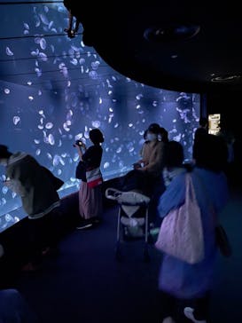 サンシャイン水族館に投稿された画像（2021/9/26）