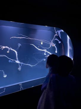 サンシャイン水族館に投稿された画像（2021/9/26）