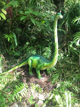 御菓子御殿　名護店　やんばる亜熱帯の森DINO恐竜PARKに投稿された画像（2021/9/26）