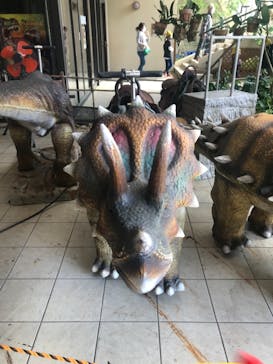 御菓子御殿　名護店　やんばる亜熱帯の森DINO恐竜PARKに投稿された画像（2021/9/26）