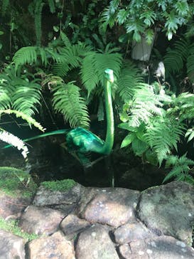 御菓子御殿　名護店　やんばる亜熱帯の森DINO恐竜PARKに投稿された画像（2021/9/26）