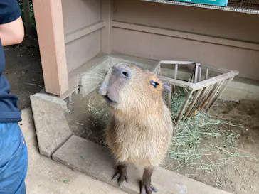 横浜・八景島シーパラダイスに投稿された画像（2021/9/26）