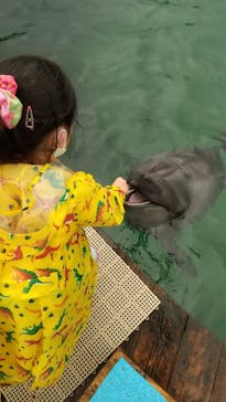 南知多ビーチランド＆南知多おもちゃ王国に投稿された画像（2021/9/26）