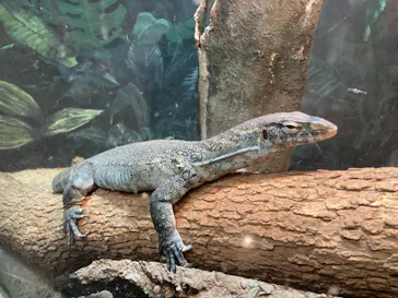 天王寺動物園に投稿された画像（2021/9/26）