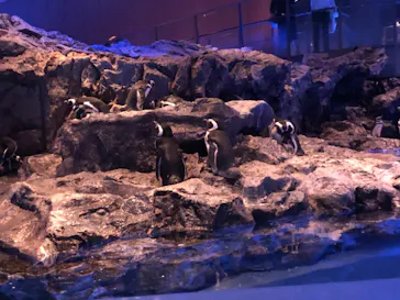 すみだ水族館に投稿された画像（2021/9/26）