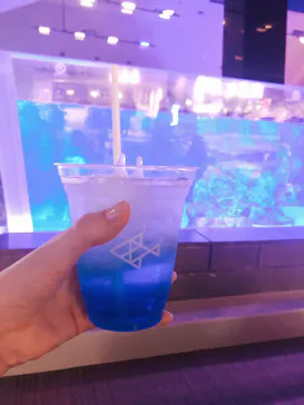 すみだ水族館に投稿された画像（2021/9/26）