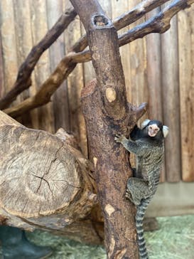 神戸どうぶつ王国に投稿された画像（2021/9/27）