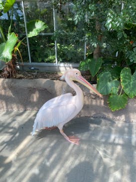 神戸どうぶつ王国に投稿された画像（2021/9/27）