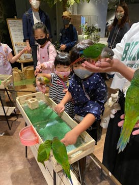 Moff animal world MARK IS みなとみらい店に投稿された画像（2021/9/27）