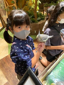 Moff animal world MARK IS みなとみらい店に投稿された画像（2021/9/27）