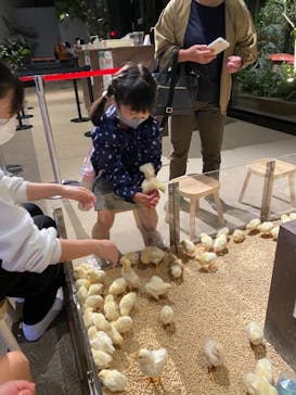 Moff animal world MARK IS みなとみらい店に投稿された画像（2021/9/27）