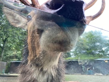 那須サファリパークに投稿された画像（2021/9/27）