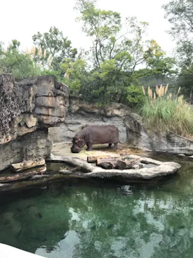 天王寺動物園に投稿された画像（2021/9/27）