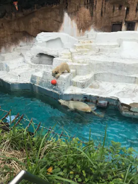 天王寺動物園に投稿された画像（2021/9/27）