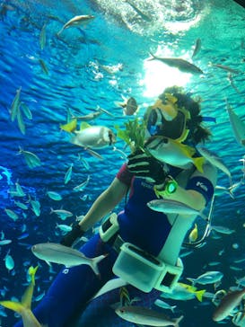 サンシャイン水族館に投稿された画像（2021/9/27）