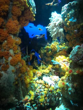 サンシャイン水族館に投稿された画像（2021/9/27）