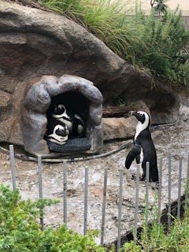 サンシャイン水族館に投稿された画像（2021/9/27）