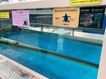 名古屋港水族館に投稿された画像（2021/9/27）