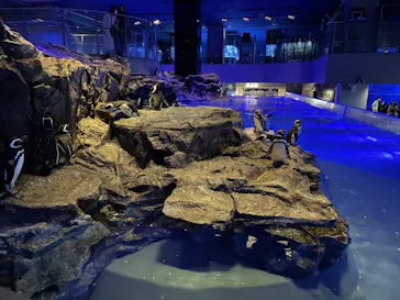 すみだ水族館に投稿された画像（2021/9/27）