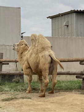 東武動物公園に投稿された画像（2021/9/27）