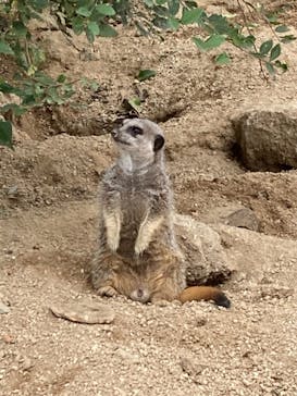 東武動物公園に投稿された画像（2021/9/27）