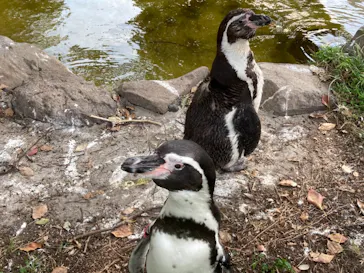 天王寺動物園に投稿された画像（2021/9/27）