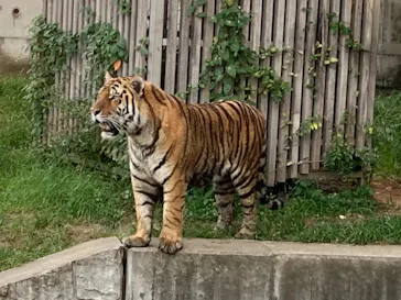 天王寺動物園に投稿された画像（2021/9/27）