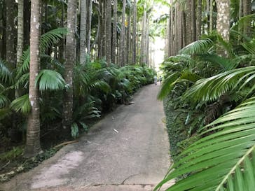 美らヤシパークオキナワ・東南植物楽園に投稿された画像（2021/9/27）