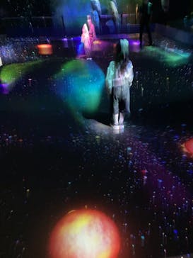 森ビル デジタルアート ミュージアム：エプソン チームラボボーダレスに投稿された画像（2021/9/27）