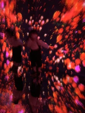 森ビル デジタルアート ミュージアム：エプソン チームラボボーダレスに投稿された画像（2021/9/27）