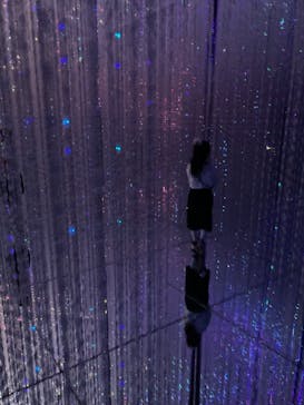 森ビル デジタルアート ミュージアム：エプソン チームラボボーダレスに投稿された画像（2021/9/27）