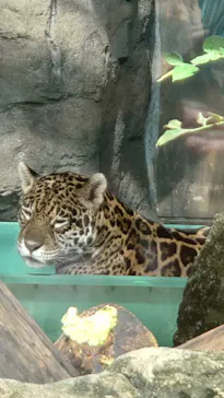 天王寺動物園に投稿された画像（2021/9/27）