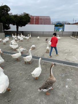 東武動物公園に投稿された画像（2021/9/27）