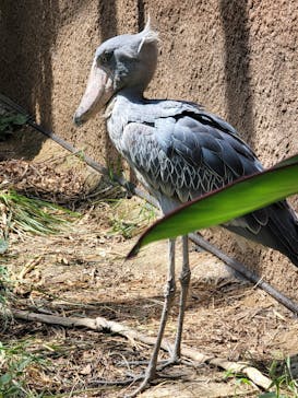 神戸どうぶつ王国に投稿された画像（2021/9/27）