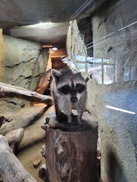 神戸どうぶつ王国に投稿された画像（2021/9/27）