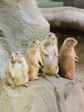 神戸どうぶつ王国に投稿された画像（2021/9/27）