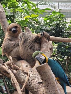 神戸どうぶつ王国に投稿された画像（2021/9/27）