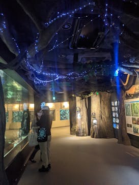 しながわ水族館に投稿された画像（2021/9/27）