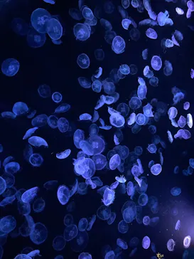 すみだ水族館に投稿された画像（2021/9/27）