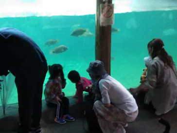 天王寺動物園に投稿された画像（2021/9/27）